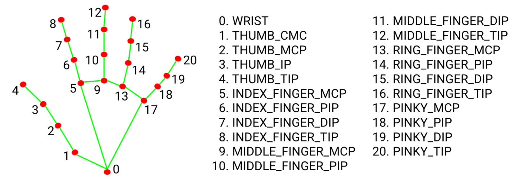 Hand Joint Notation